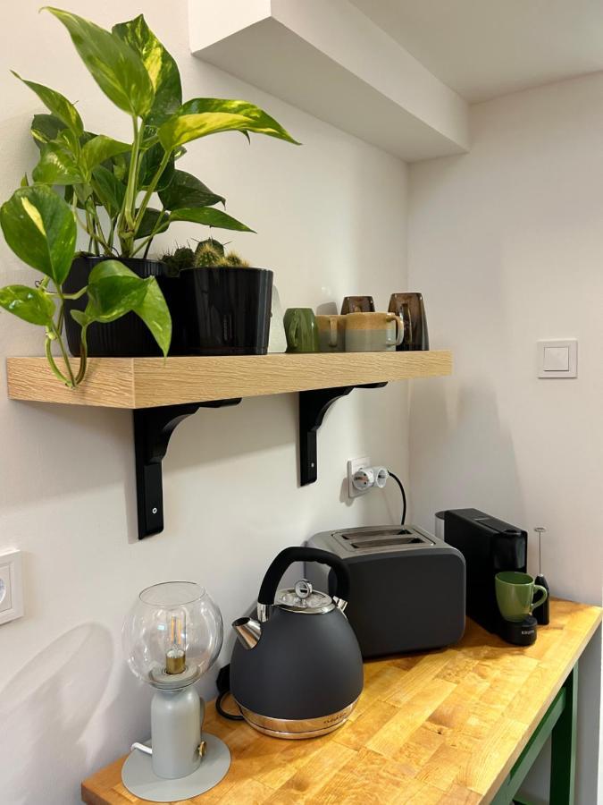 Gabeni Apartament Budapesta